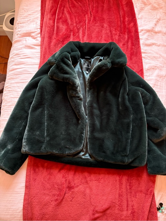 Dynamite Jackets & Blazers - Dynamite Green Faux Fur Satin-Lined Jacket